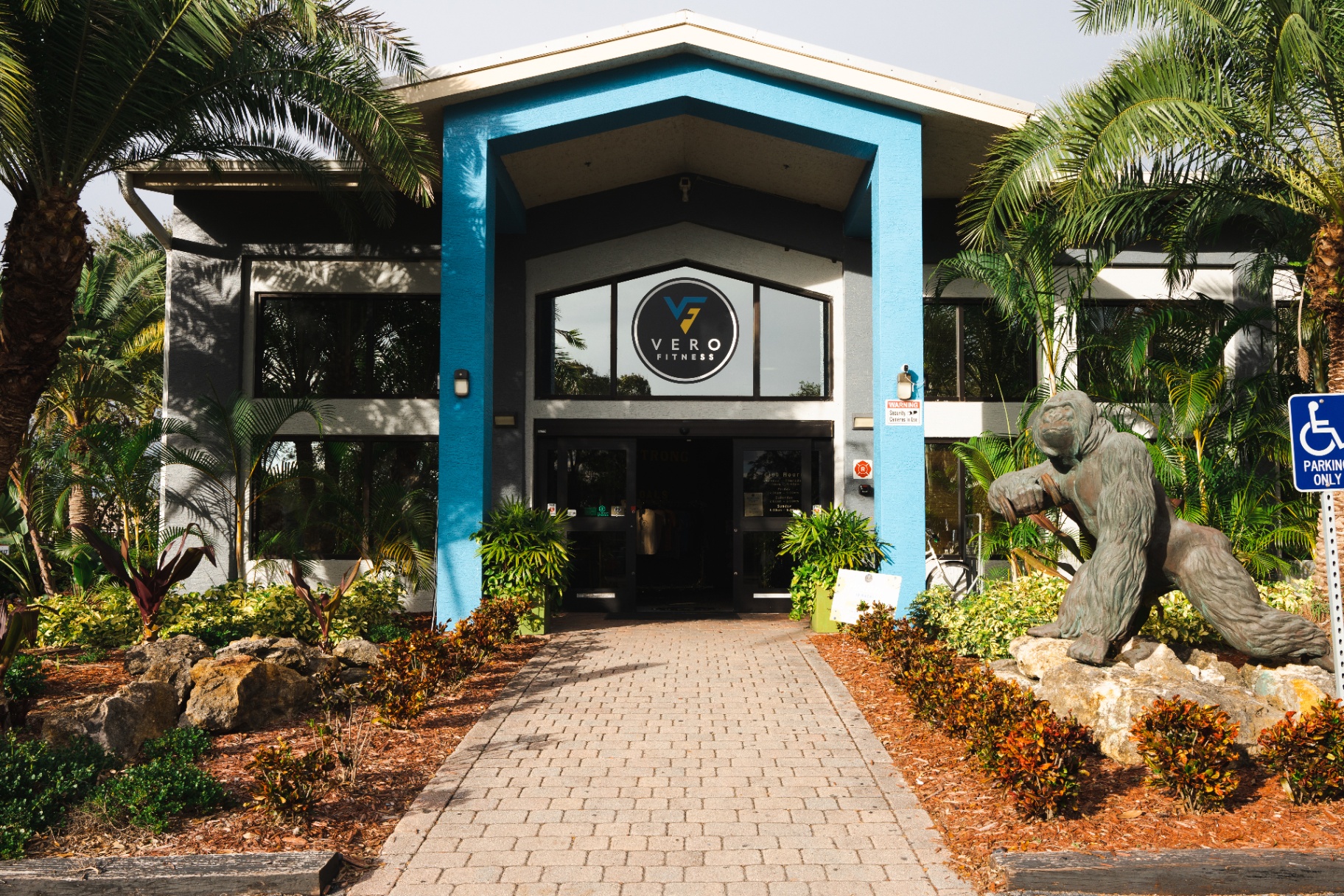 Vero Fitness · Health & Wellness case study